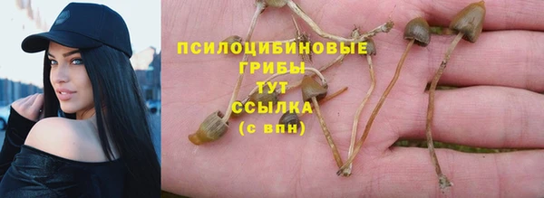 jwh Алзамай