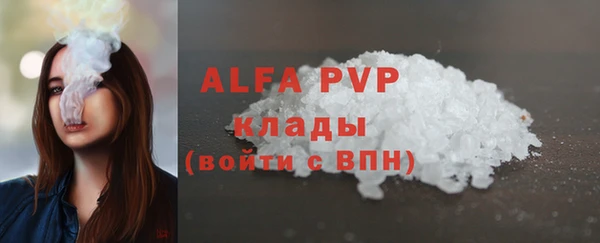 крисы Алексин