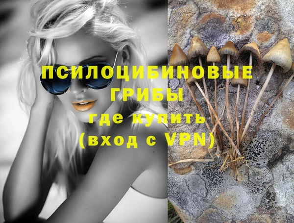 крисы Алексин