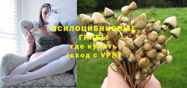 крисы Алексин